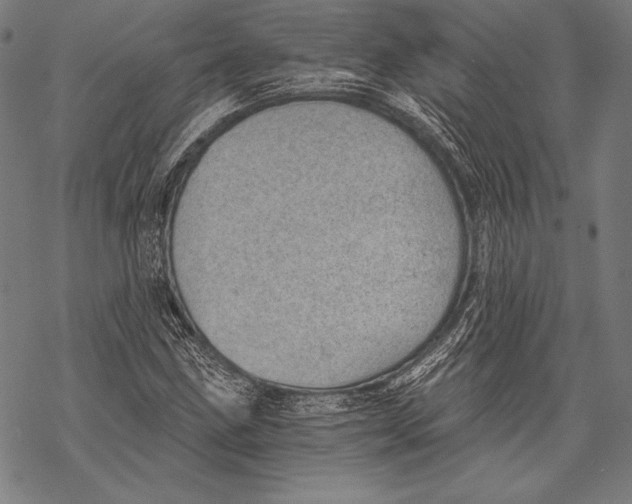 X0000068751211200605191550