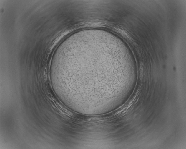 X0000068751212200605191550