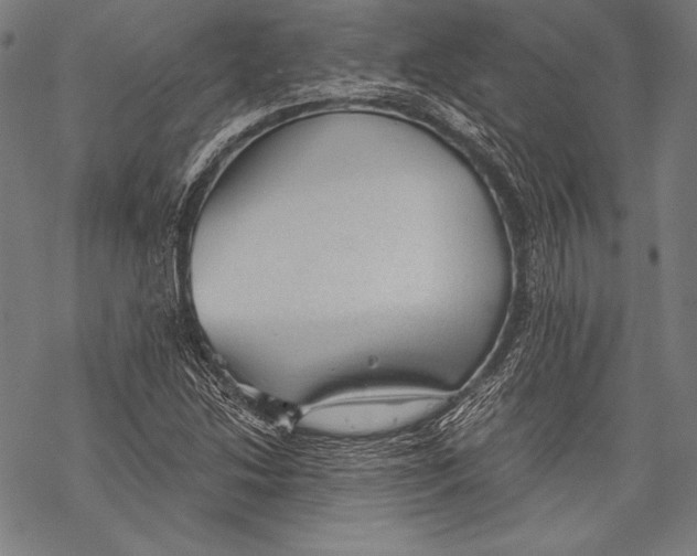 X0000068751214200605191550