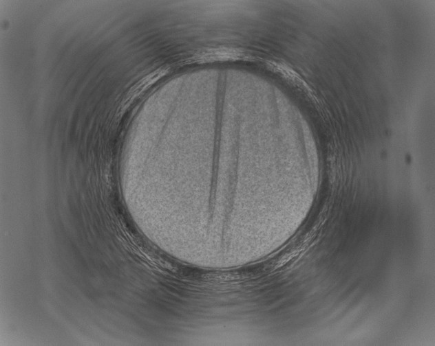 X0000068751217200605191550