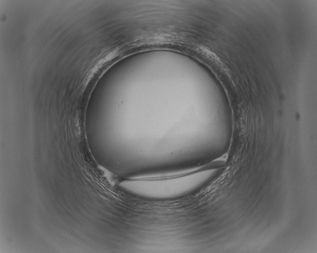 X0000068751218200605191550