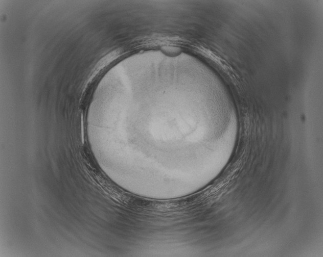 X0000068751219200605191550