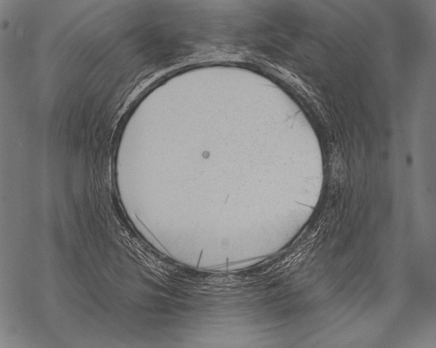 X0000068751220200605191550