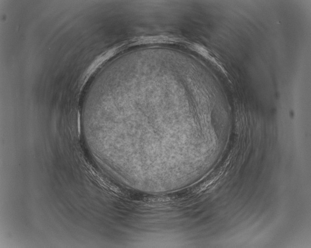 X0000068751221200605191550