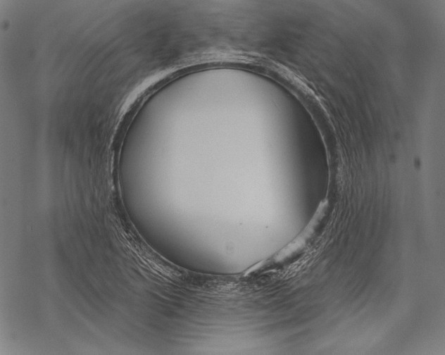 X0000068751222200605191550