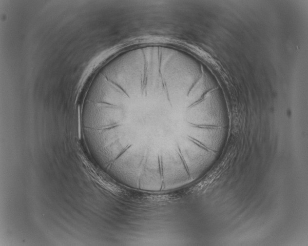 X0000068751223200605191550