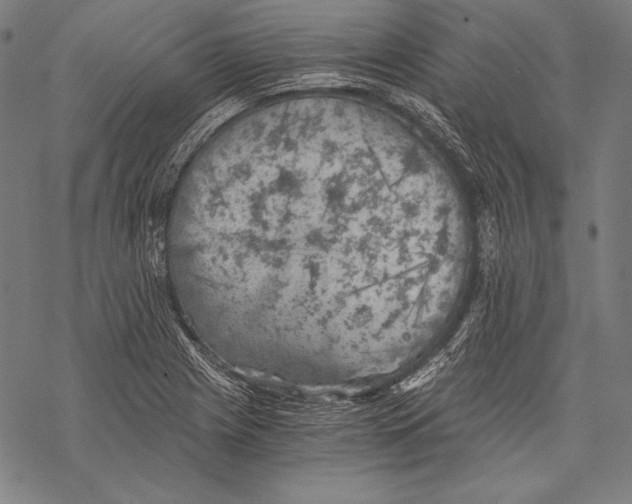 X0000068751225200605191550