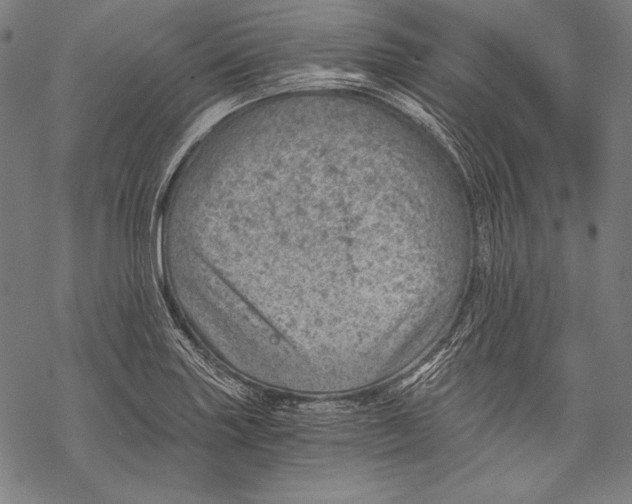 X0000068751227200605191550