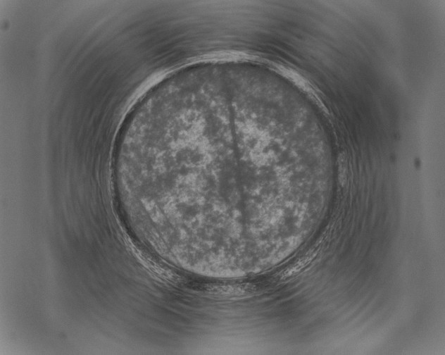 X0000068751229200605191550