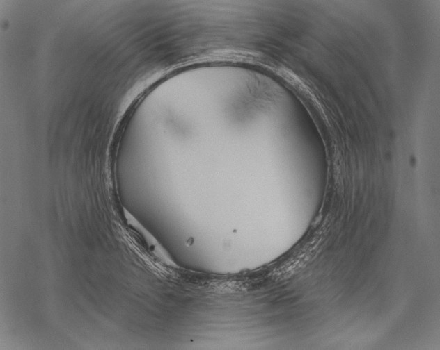 X0000068751230200605191550