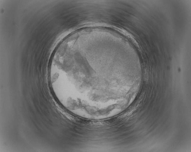 X0000068751231200605191550