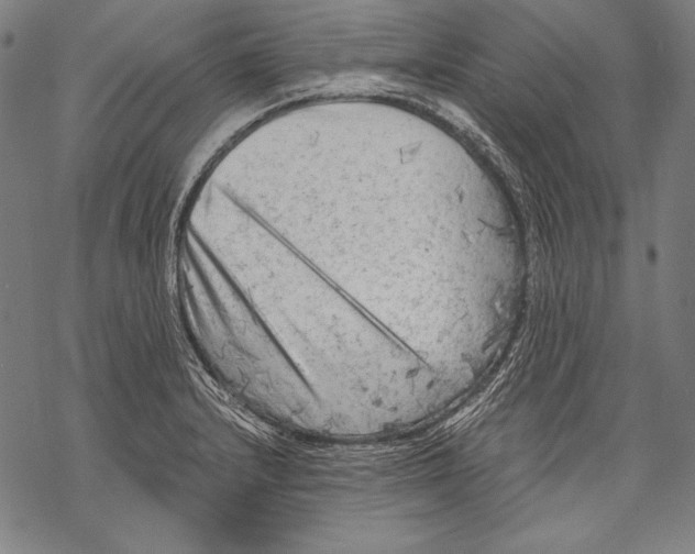 X0000068751232200605191550