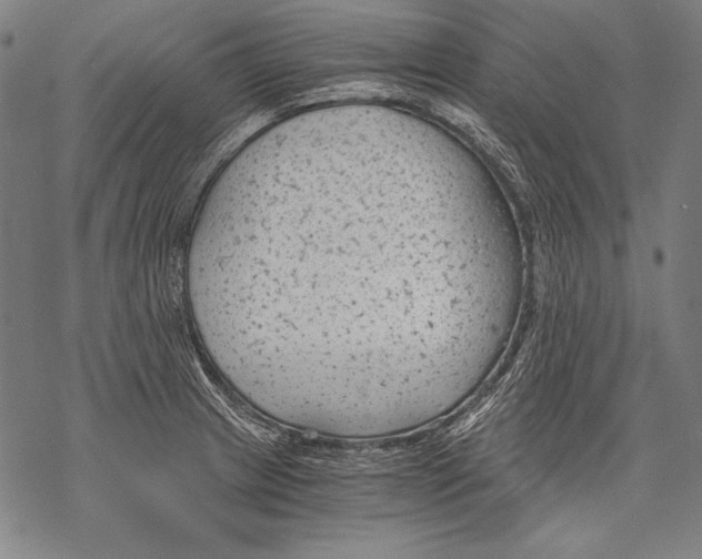 X0000068751233200605191550