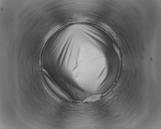 X0000068751234200605191550