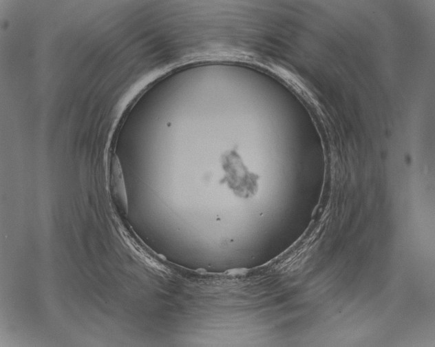 X0000068751238200605191550