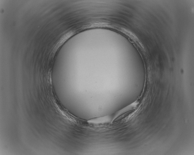 X0000068751241200605191550