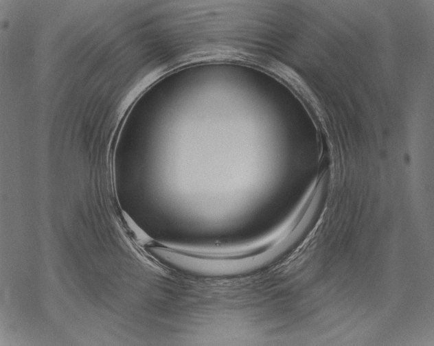 X0000068751242200605191550