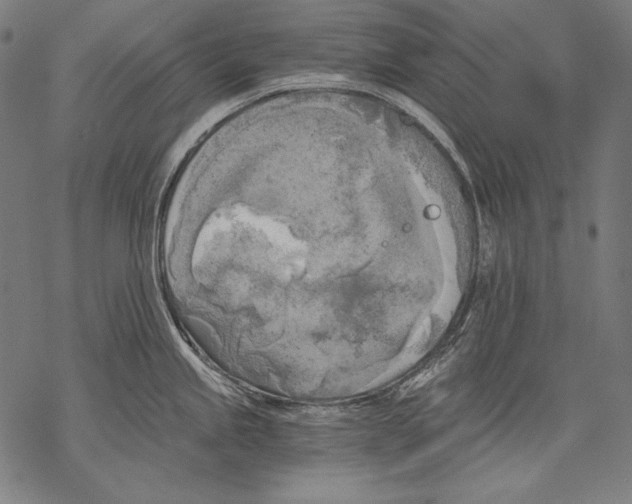 X0000068751245200605191550