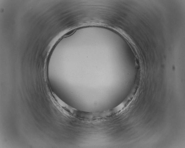 X0000068751246200605191550