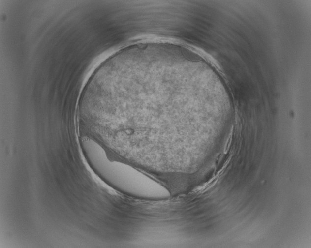 X0000068751247200605191550