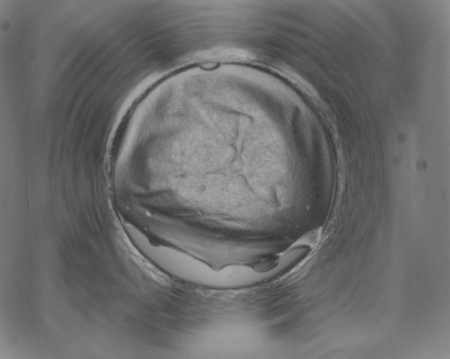 X0000068751248200605191550