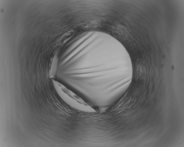 X0000068751250200605191550
