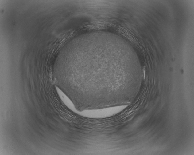 X0000068751251200605191550