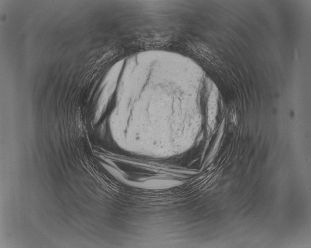 X0000068751252200605191550