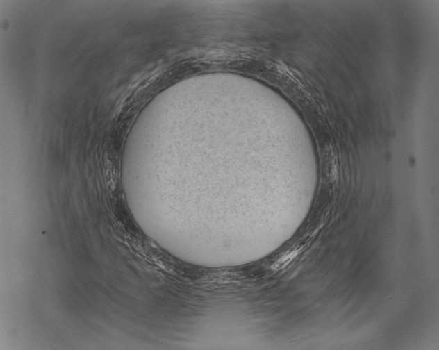 X0000068751253200605191550