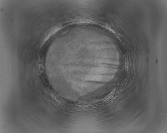 X0000068751255200605191550