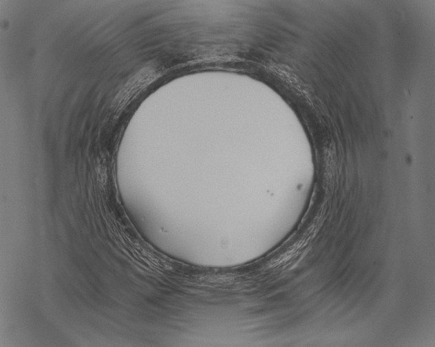 X0000068751257200605191550