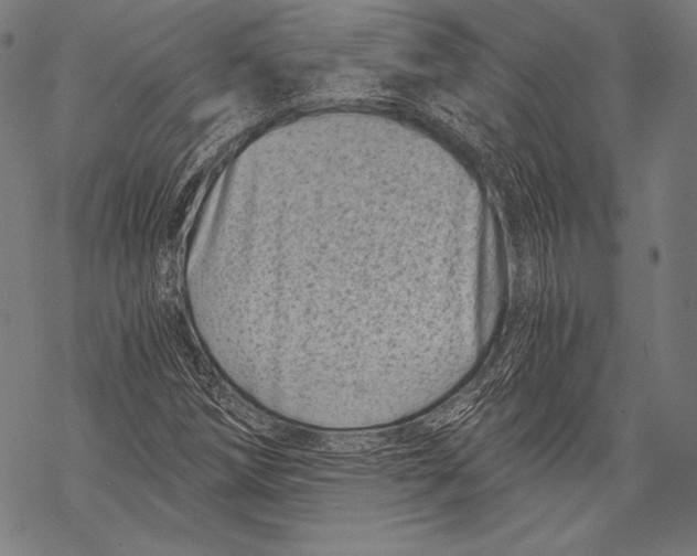 X0000068751258200605191550