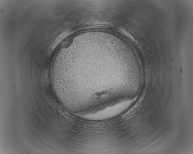 X0000068751259200605191550