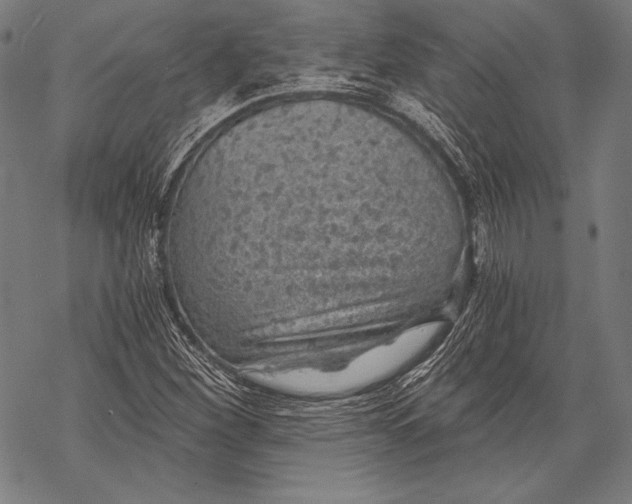 X0000068751260200605191550