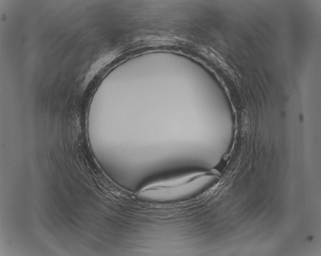 X0000068751261200605191550