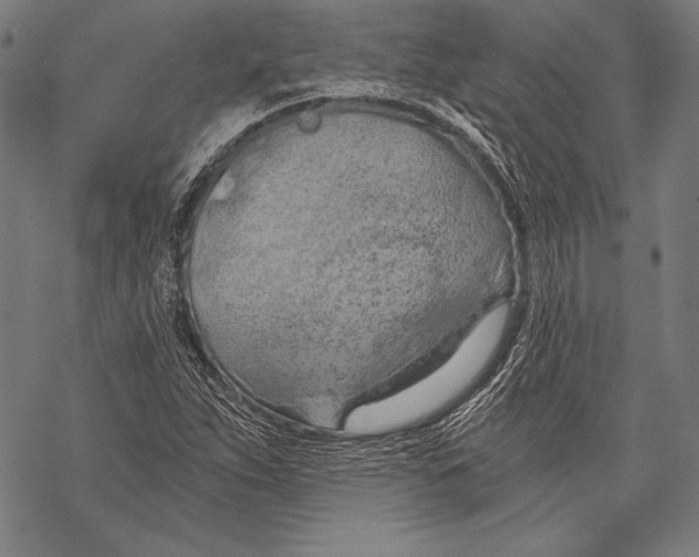 X0000068751263200605191549