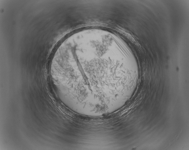 X0000068751264200605191549