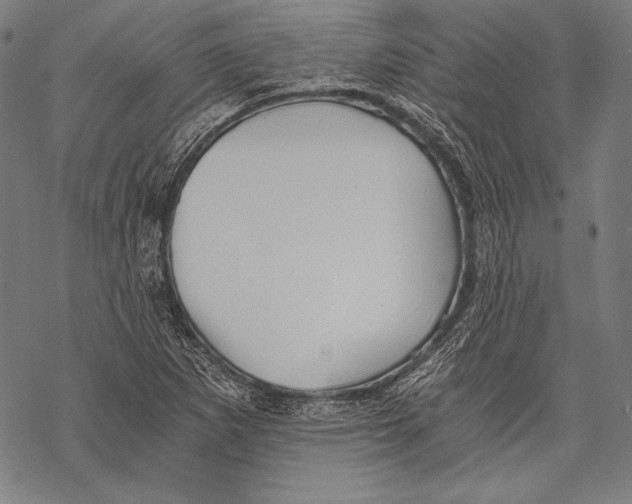 X0000068751265200605191549