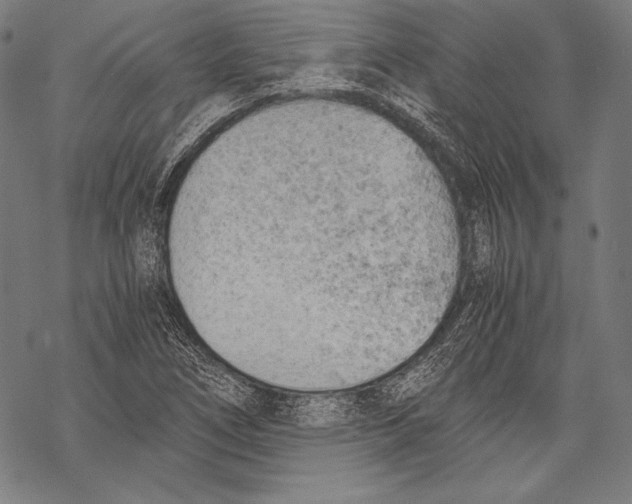 X0000068751266200605191549