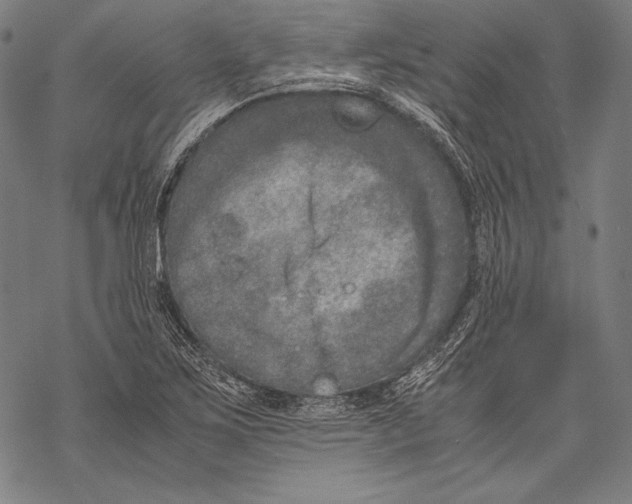 X0000068751267200605191549