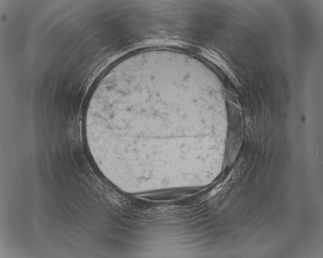 X0000068751268200605191549