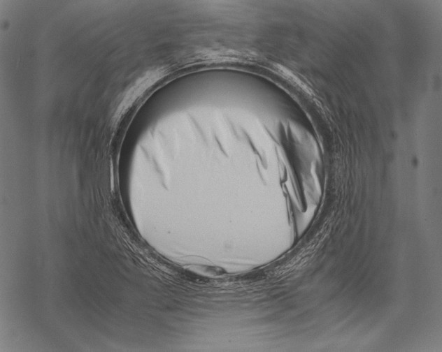 X0000068751269200605191549