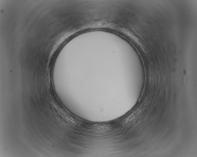 X0000068751270200605191549