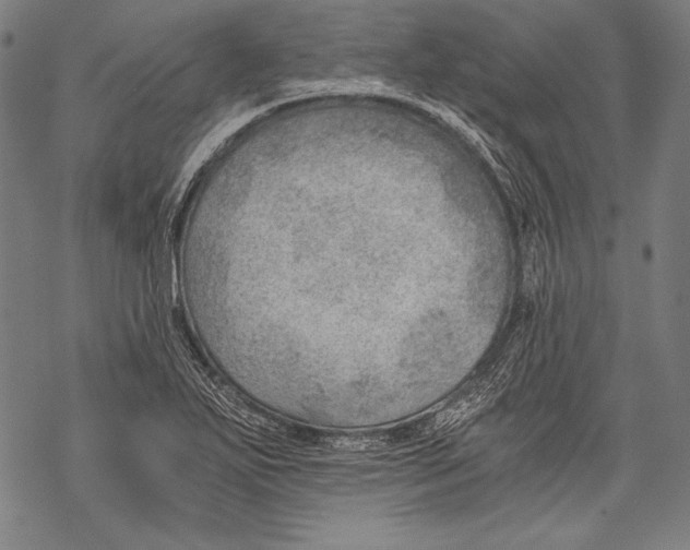 X0000068751271200605191549