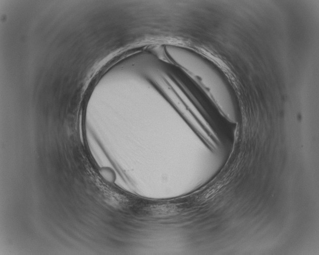 X0000068751272200605191549