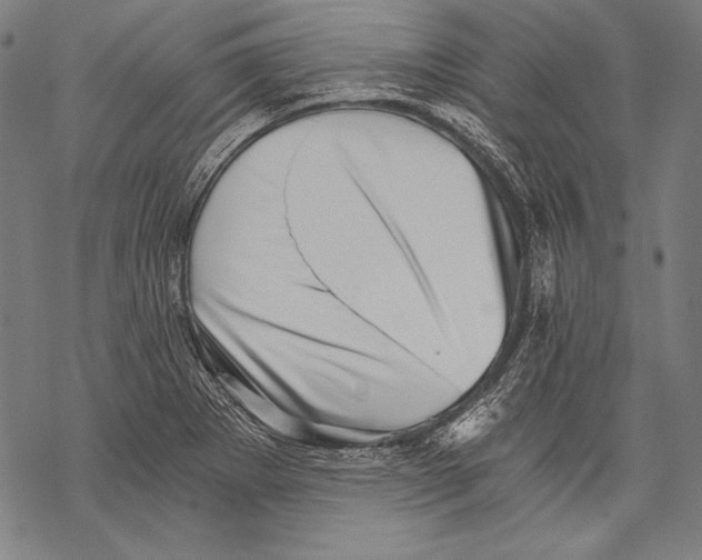 X0000068751273200605191549