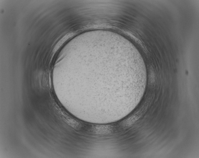 X0000068751274200605191549