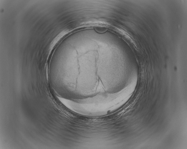 X0000068751275200605191549