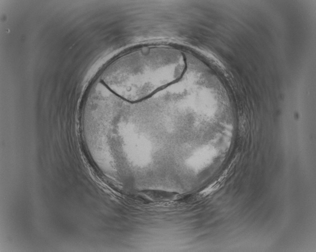 X0000068751279200605191549