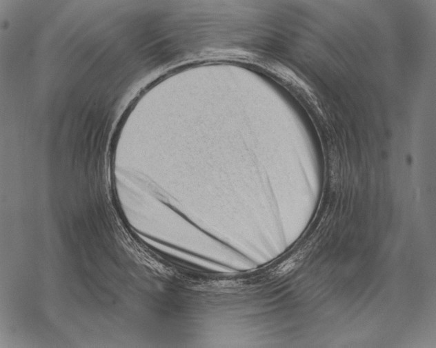 X0000068751280200605191549